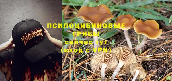 винт Каменка