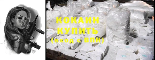 винт Каменка