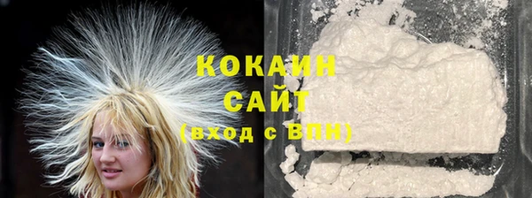 индика Карпинск
