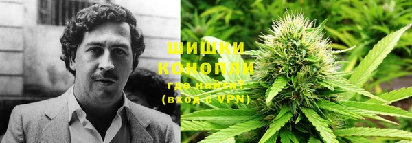 винт Каменка