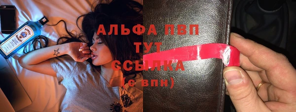 винт Каменка