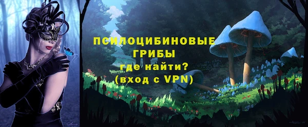 винт Каменка