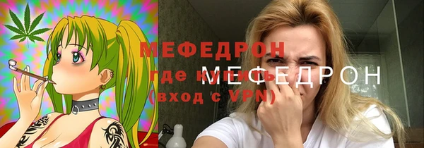 индика Карпинск