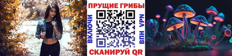 Купить где  Далматово  Галлюциногенные грибы Magic Shrooms 